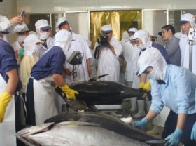 Image: Optimizing Shocker set to handle ocean tuna