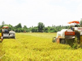 Image: Over AUD 10 million support to reduce emissions in rice production