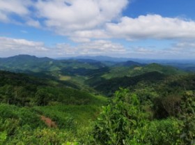 Image: Quang Ninh creates stable livelihood from greenwoods