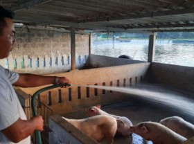 Image: Quang Ninh province builds a concentrated livestock area