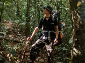 Image: The boy left the city to go to the forest, do a healing tour, immersing himself in nature