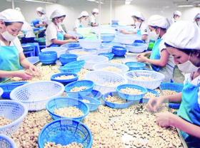 Image: Two-year EVFTA implementation: Fruitful results