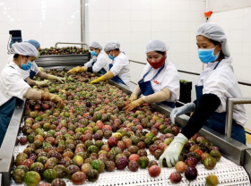Image: Vietnam pilots passion fruit exports to China