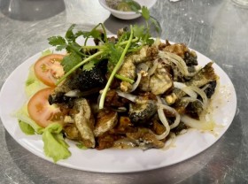 Image: ‘Ech’ an unFROGgettable experience in Ho Chi Minh City