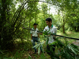 Image: Realizing the carbon neutrality commitment