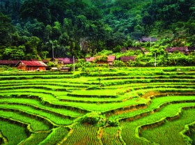 Image: Admire pristine beauty of Hoai Khao Village in northern Vietnam