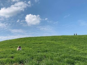 Image: Enjoying a long vacation, young people invite each other to “hunt photos” in the green meadow in the heart of Moc Chau