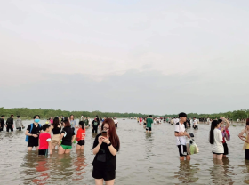 Image: Laughing “belly” with the latest series of images of the infinity sea of ​​Thai Binh