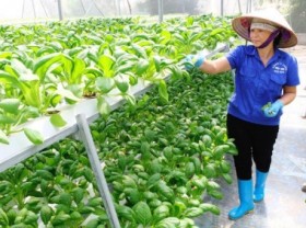 Image: 3.6 million good households are the backbone of the professional farming workforce