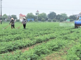 Image: Association with businesses to help farmers improve the quality