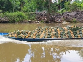 Image: Potential for agro-product focal centers in the Mekong Delta