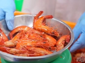 Image: Vietnamese shrimps compete with processing capacity