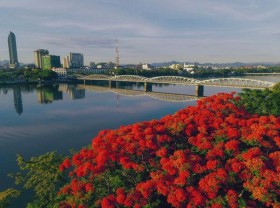 Image: Take a look at the 5 “photogenic” bridges that are most visited by many tourists in Vietnam