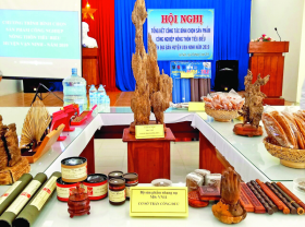Image: Khanh Hoa develops rural industrial products