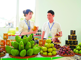 Image: Trade promotion, an effective export tool