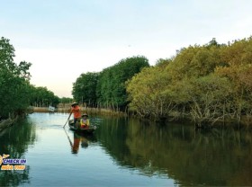 Image: In Hue, there is a very rare and precious forest left in Southeast Asia