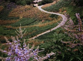 Image: Take a ride to admire Ha Giang’s stunning trails and people
