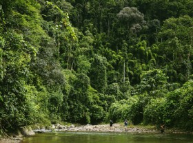 Image: Two days traveling through two primeval forests in Tay Giang