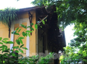 Image: Admire the beauty of ancient French villas in the autumn sunshine of Hanoi