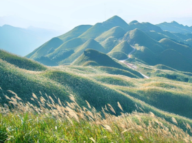 Image: Discover Binh Lieu in the reed season at a cost of 50$