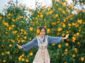 Image: Do you know this series of places to see wild sunflowers in Gia Lai?