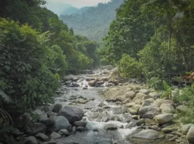 Image: Enjoy a peaceful and cool camping trip with the whole family in Thai Nguyen