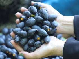 Image: Late autumn filling – Simple gifts from the mountains, once considered ‘meat of the poor’