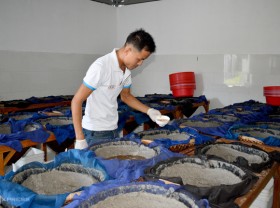 Image: Leaving town to go home to make fish sauce