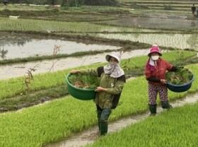 Image: Agriculture must change to keep up with the world trend