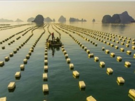 Image: BIM Group prioritizes high-tech farming