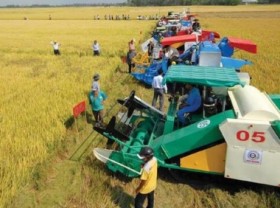 Image: Establishing regional centers for mechanization