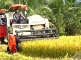 Image: Mekong Delta can reduce 10.97 million tons of CO2e by 2030