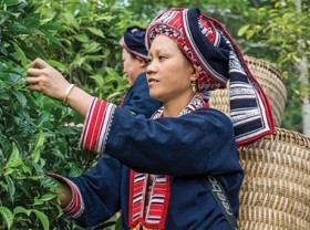 Image: The Eco-Fair project is to promote sustainable production