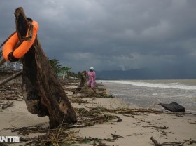 Image: People rush to collect firewood after heavy rain, making millions of VND every day