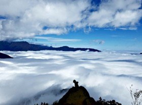 Image: Planning to ‘hunt clouds’ in Ta Xua at a cost of only about 50$/person