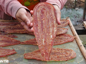 Image: Processing half a ton of snakes per day in the floating season, drying and selling “expensive like hot cakes”