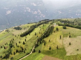 Image: The “green steppe regions” in Vietnam make visitors nostalgic at first sight