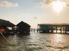 Image: There is the strangest restaurant in the land of Ca Mau cape, lying in the middle of the lagoon, selling anything, customers will eat it