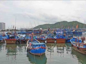Image: EC visits Khanh Hoa over IUU fishing control