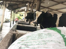 Image: Farmers reluctant to increase livestock amid uncertainties