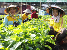 Image: Nestlé launches NESCAFÉ Plan 2030 worth more than CHF1 billion