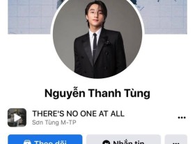 Image: A collection of Fb ‘flying followers’ this morning, Son Tung and Mark Zuckerberg additionally didn’t ‘escape’
