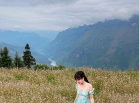 Image: Not only in Ha Giang, but 3 locations also have buckwheat flowers blooming so beautifully