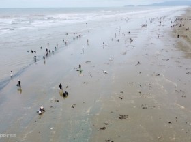 Image: Rushing to the sea to pick up shells