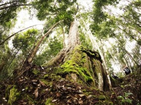 Image: The thousand-year-old ‘Kingdom’ of Po mu on the Truong Son mountain range