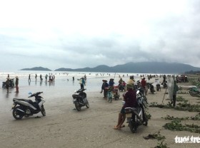 Image: Thousands of people cheered to pick up the ‘sea fortune’ after the storm