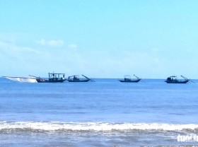 Image: Winning sea shrimp, people earn millions every day
