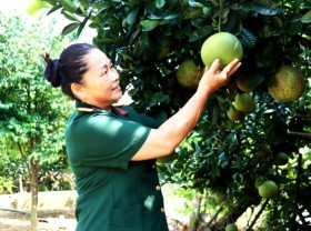 Image: Upland farmers change their lives thanks to the integrated farming model