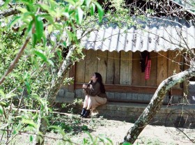 Image: Visit Phieng Canh Moc Chau village located in the middle of the flower seasons