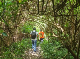 Image: 100 USD for two full days of activities in Cat Ba
